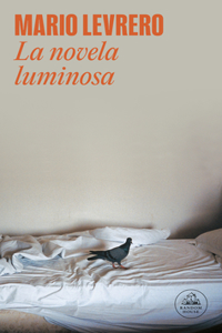 La novela luminosa/ The Bright Novel