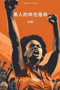Black Lives Matter Chinese Version