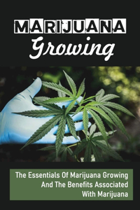 Marijuana Growing