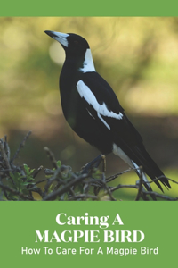 Caring A Magpie Bird