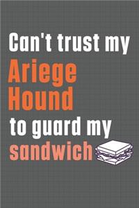 Can't trust my Ariege Hound to guard my sandwich