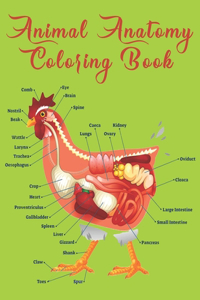Animal Anatomy Coloring Book