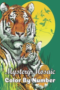 Mystery Mosaics Color By Number Coloring Book