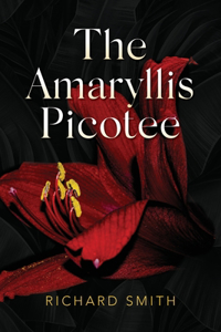 The Amaryllis Picotee