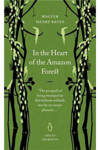 In the Heart of the Amazon Forest