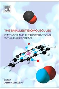 Smallest Biomolecules: Diatomics and Their Interactions with Heme Proteins