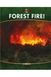 Forest Fire