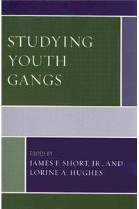 Studying Youth Gangs