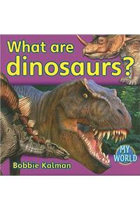 What Are Dinosaurs?
