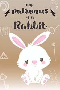 My Patronus Is A Rabbit