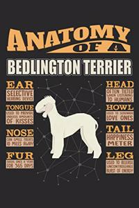 Anatomy Of A Bedlington Terrier