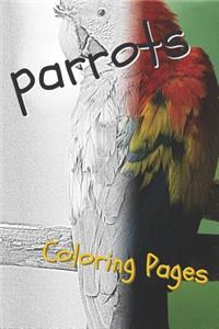 Parrot Coloring Pages