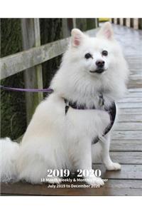 2019 - 2020 18 Month Weekly & Monthly Planner July 2019 to December 2020