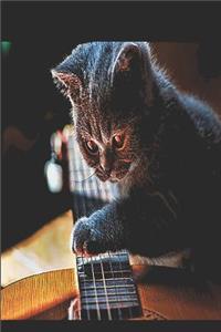 Guitar Cat Notebook