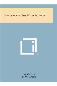 Firecracker, the Wild Bronco