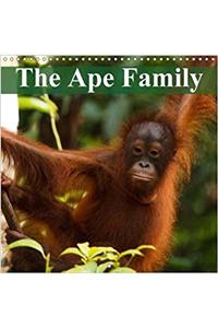 Ape Family 2018
