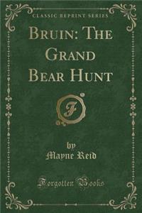 Bruin