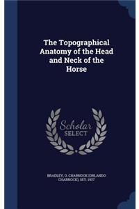 Topographical Anatomy of the Head and Neck of the Horse