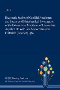 Enzymatic Studies of Conidial Attachment and Lectin-Gold Histochemical Investigation of the Extracellular Mucilages of Lemonniera Aquatica de Wild. an