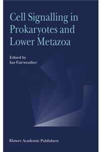 Cell Signalling in Prokaryotes and Lower Metazoa