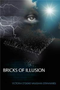 Bricks of Illusion