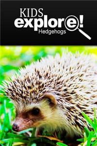 Hedge Hogs - Kids Explore
