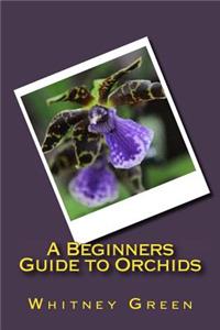 Beginners Guide to Orchids