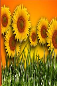 Floral Journal Sunflower Field