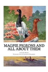 Magpie Pigeons and All About Them