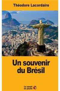 Un souvenir du Brésil