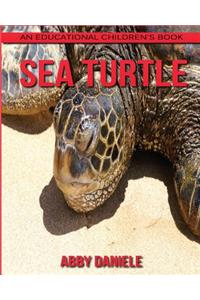 Sea Turtle! An Educational Children's Book about Sea Turtle with Fun Facts & Photos