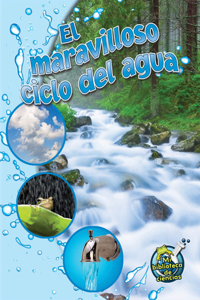 El Maravilloso Ciclo del Agua