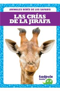 Las Crías de la Jirafa (Giraffe Calves)