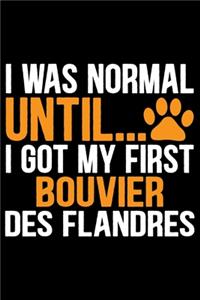 I Was Normal Until I Got My First Bouvier Des Flandres