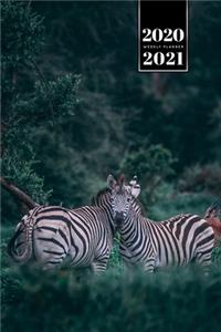 Zabra Safari Africa Savannah Week Planner Weekly Organizer Calendar 2020 / 2021 - Good Friends