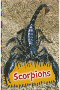 Scorpions