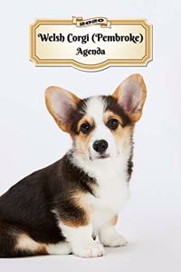 2020 Welsh Corgi (Pembroke) Agenda