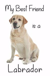My best Friend is a Labrador