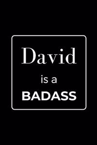 David is a BADASS