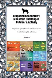 Bulgarian Shepherd 20 Milestone Challenges