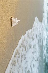 Conch Shell on the Beach Journal