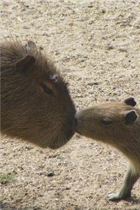 Kissing Capybara Journal