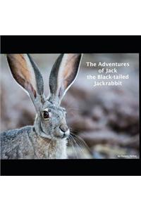 The Adventures of Jack the Black-Tailed Jackrabbit