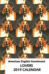 American English Coonhound Lovers 2019 Calendar