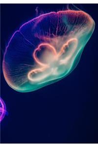 2019 Appointment Calendar