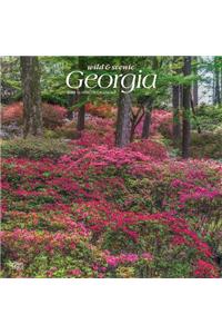 Georgia Wild & Scenic 2020 Square