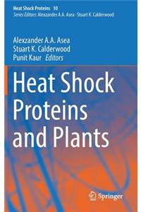 Heat Shock Proteins and Plants