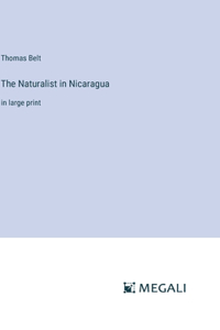 Naturalist in Nicaragua