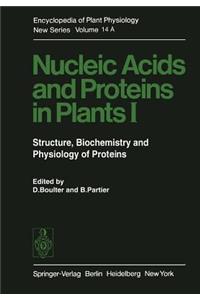 Nucleic Acids and Proteins in Plants I