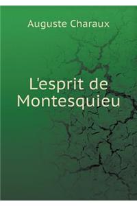 L'esprit de Montesquieu